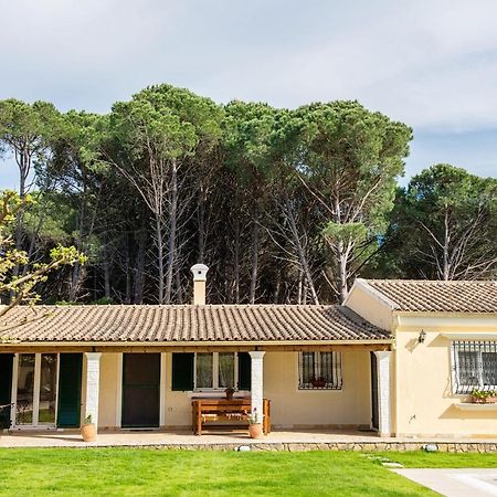 Villa Pine Forest by CorfuΕscapes Kompítsion Extérieur photo